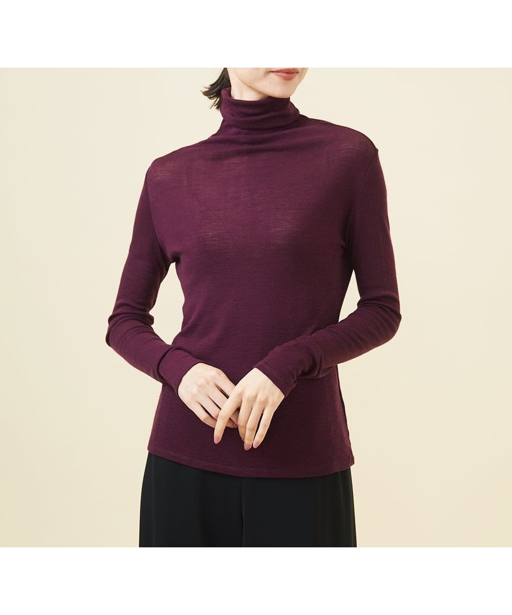 【シビラ/SYBILLA】のハイネックウールカットソー インテリア・キッズ・メンズ・レディースファッション・服の通販 founy(ファニー) 　ファッション　Fashion　レディースファッション　Fashion for Women　トップス・カットソー　Cut & Sew Tops　カットソー・ベーシックTシャツ　Cut-and-Sewn Tops / Stretch Tees & Basics　インナー　Innerwear　コンパクト　Compact, Small Size　シンプル　Simple, Minimal　スマート　Smart, Elegant　タートルネック　Turtleneck, High Neck　フィット　Fit, Slim Fit　人気　Popular, Best Seller　定番　Standard, Basic Item　A/W・秋冬　Autumn/Winter　バーガンディー|ID: prp329100004603278 ipo3291000000032740886