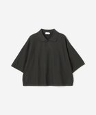 【ビショップ/Bshop】のコットンピケ ショートポロシャツ WOMEN 人気、トレンドファッション・服の通販 founy(ファニー) ファッション Fashion レディースファッション Fashion for Women トップス・カットソー Cut & Sew Tops シャツ・ブラウス・オフィスカジュアル Elegant Blouses & Button-Ups ポロシャツ・きれいめカジュアル Smart-Casual Polo Tops ショート Short, Short Length ストレッチ Stretch, Stretchy Fabric バランス Balance, Style Balance ポロシャツ Polo Shirt, Collared Tee ワイド Wide, Wide Fit 半袖 Short Sleeve, Half Sleeve thumbnail BLACK|ID: prp329100004603421 ipo3291000000032744435