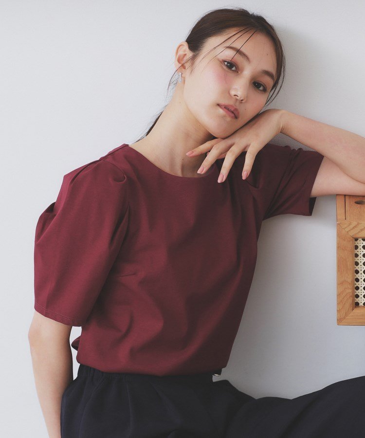 【インデックス/INDEX】の《7色展開/XS-LLサイズ》多機能タックスリーブトップス【汗ジミ防止/吸水速乾/接触冷感/UVケア/洗濯機洗い可】 インテリア・キッズ・メンズ・レディースファッション・服の通販 founy(ファニー) 　ファッション　Fashion　レディースファッション　Fashion for Women　トップス・カットソー　Cut & Sew Tops　エレガント 上品　Elegant　シンプル　Simple, Minimal　吸水　Absorbent, Quick-Dry　夏　Summer　ボルドー|ID: prp329100004603825 ipo3291000000033549403