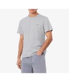 【ラコステ/LACOSTE / MEN】の配色ステッチTシャツ グレー|ID: prp329100004604065 ipo3291000000032755462
