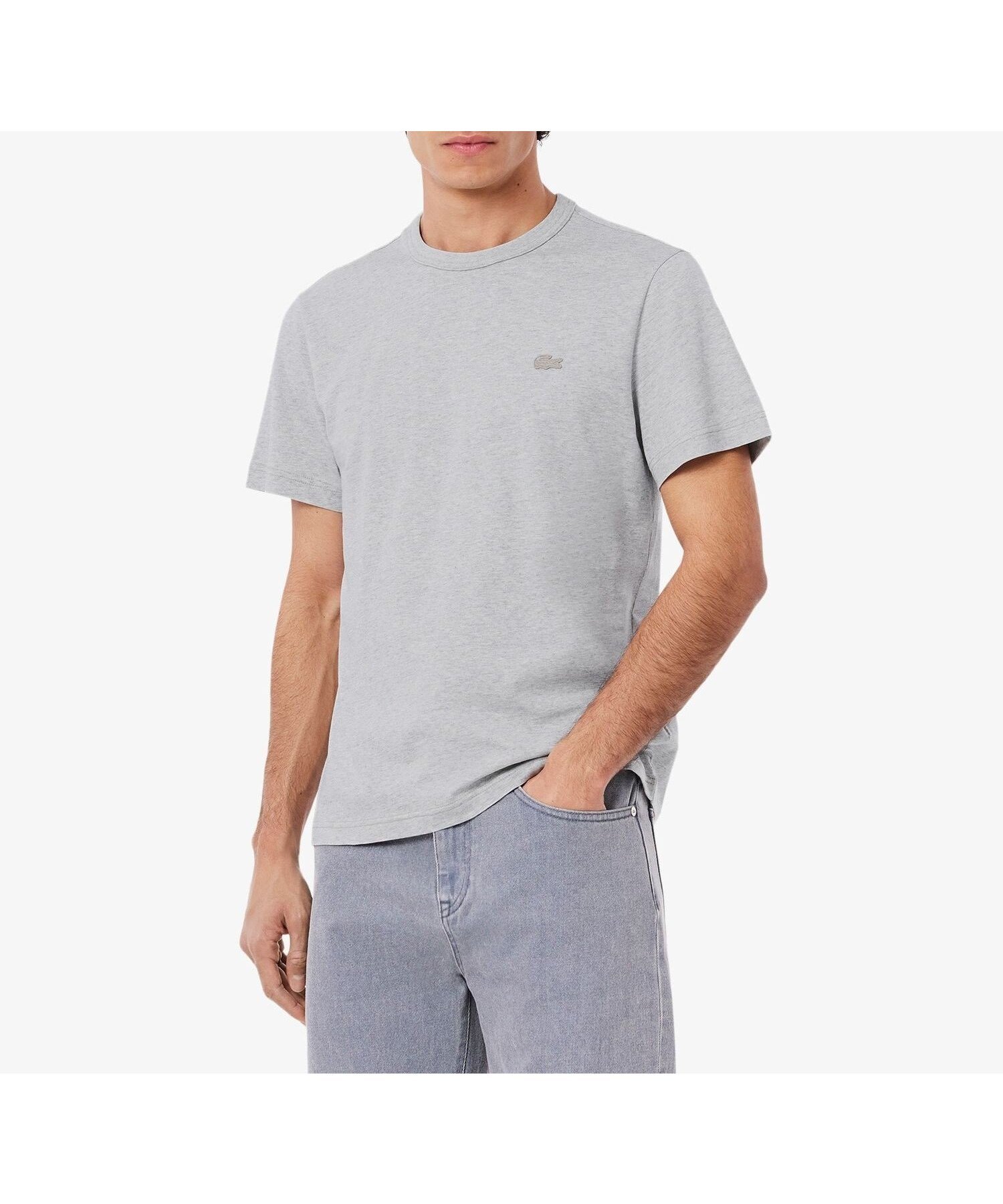 【ラコステ/LACOSTE / MEN】の配色ステッチTシャツ インテリア・キッズ・メンズ・レディースファッション・服の通販 founy(ファニー) 　ファッション　Fashion　メンズファッション　Fashion for Men　おすすめ　Recommended / Our Picks　クール　Cool, Chic　スリーブ　Sleeve, Long Sleeve / Short Sleeve　ハーフ　Half, Half-Length　ベーシック　Basic, Essential　グレー|ID: prp329100004604065 ipo3291000000032755462