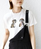 【シップス フォー ウィメン/SHIPS】の【SHIPS別注】ACASAM フォト TEE ホワイト|ID: prp329100004613701 ipo3291000000033029506