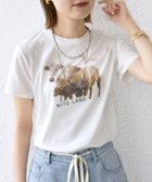 【シップス フォー ウィメン/SHIPS】の【SHIPS別注】ACASAM フォト TEE ホワイト系|ID: prp329100004613701 ipo3291000000033029507
