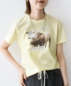 【シップス フォー ウィメン/SHIPS】の【SHIPS別注】ACASAM フォト TEE イエロー|ID: prp329100004613701 ipo3291000000033029508