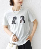 【シップス フォー ウィメン/SHIPS】の【SHIPS別注】ACASAM フォト TEE ライトブルー|ID: prp329100004613701 ipo3291000000033029511
