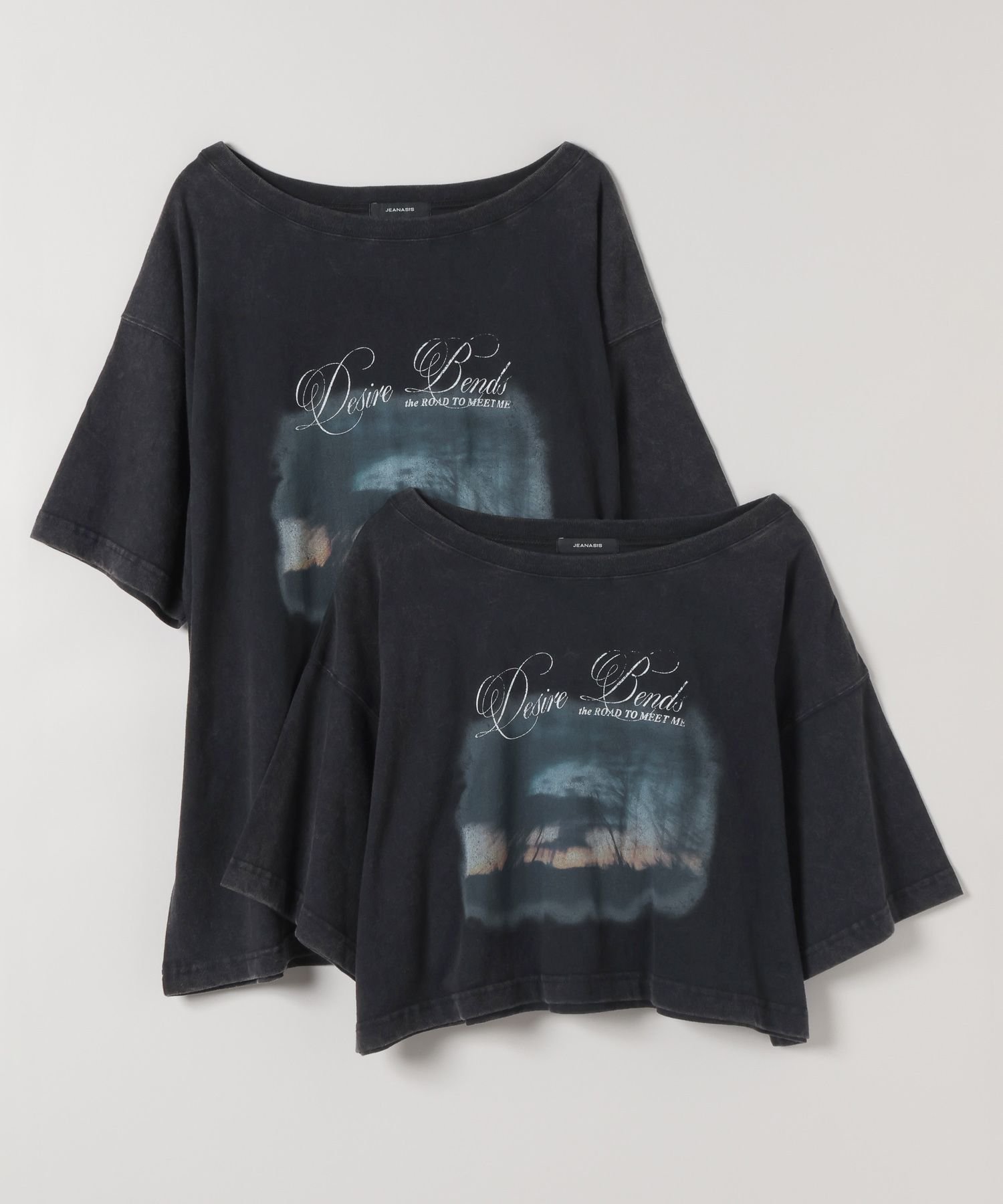 【ジーナシス/JEANASiS】の選べる着丈/landscape ボカシプリント TEE インテリア・キッズ・メンズ・レディースファッション・服の通販 founy(ファニー) 　ファッション　Fashion　レディースファッション　Fashion for Women　ヴィンテージ　Vintage Style　コンパクト　Compact, Small Size　ショルダー　Shoulder, Shoulder Strap　ショート　Short, Short Length　シンプル　Simple, Minimal　デコルテ　Décolleté, Neckline　デニム　Denim, Jeans Material　ドロップ　Drop Shoulder, Dropped Style　ビッグ　Big, Oversized　フェミニン　Feminine, Girly　プリント　Print, Printed Pattern　ボトム　Bottoms, Lower Wear　モチーフ　Motif, Design Theme　ロング　Long, Long-Length　ワイド　Wide, Wide Fit　おすすめ　Recommended / Our Picks　ブラック|ID: prp329100004618694 ipo3291000000033210653