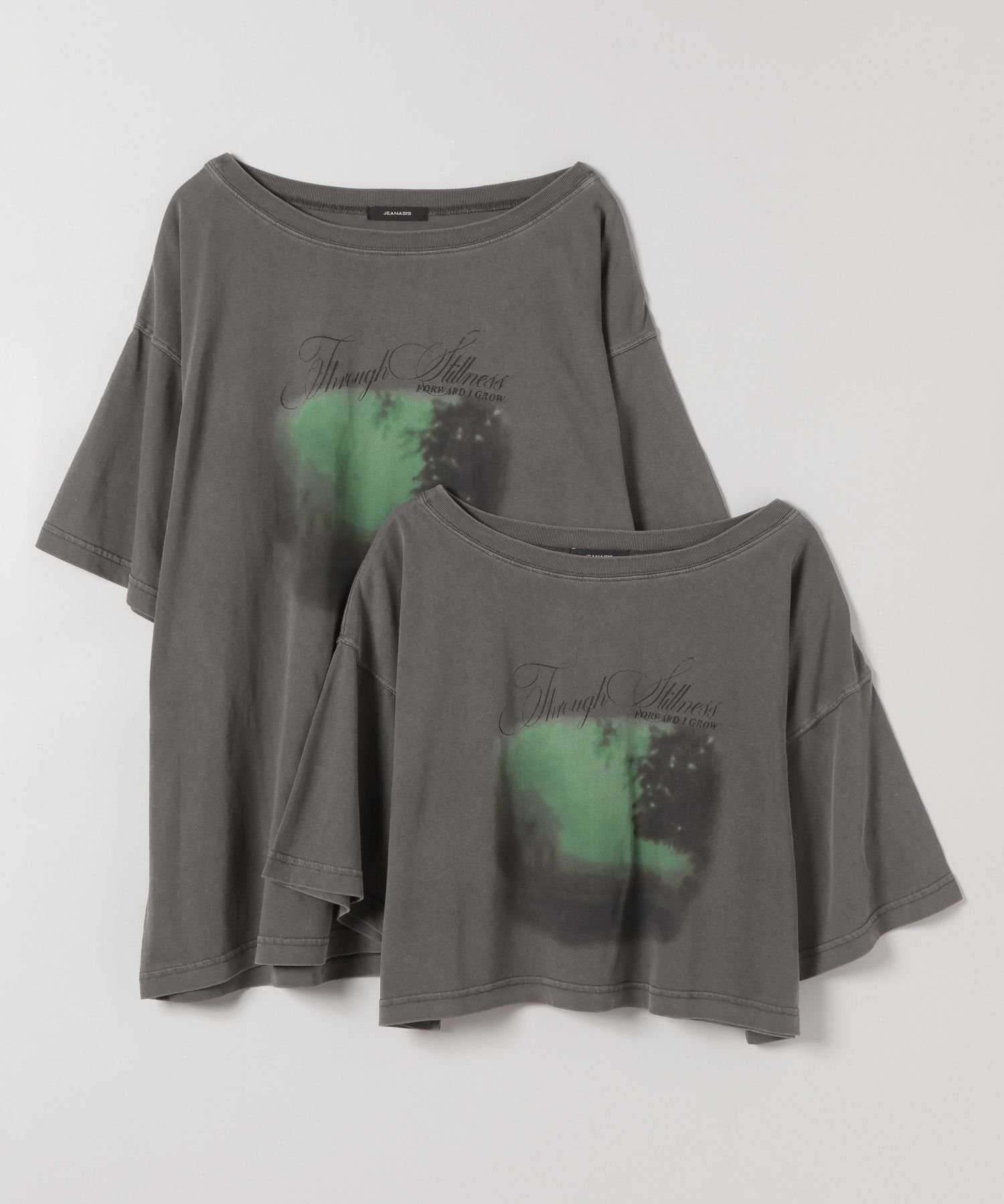 【ジーナシス/JEANASiS】の選べる着丈/landscape ボカシプリント TEE インテリア・キッズ・メンズ・レディースファッション・服の通販 founy(ファニー) 　ファッション　Fashion　レディースファッション　Fashion for Women　ヴィンテージ　Vintage Style　コンパクト　Compact, Small Size　ショルダー　Shoulder, Shoulder Strap　ショート　Short, Short Length　シンプル　Simple, Minimal　デコルテ　Décolleté, Neckline　デニム　Denim, Jeans Material　ドロップ　Drop Shoulder, Dropped Style　ビッグ　Big, Oversized　フェミニン　Feminine, Girly　プリント　Print, Printed Pattern　ボトム　Bottoms, Lower Wear　モチーフ　Motif, Design Theme　ロング　Long, Long-Length　ワイド　Wide, Wide Fit　おすすめ　Recommended / Our Picks　チャコールグレー|ID: prp329100004618694 ipo3291000000033210655