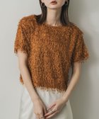 【センスオブプレイス/SENSE OF PLACE by URBAN RESEARCH】のフリンジテープトップ(半袖) 人気、トレンドファッション・服の通販 founy(ファニー) ファッション Fashion レディースファッション Fashion for Women トップス・カットソー Cut & Sew Tops コンパクト Compact, Small Size シンプル Simple, Minimal トレンド Trend, Trending Now フリンジ Fringe, Tassel 半袖 Short Sleeve, Half Sleeve thumbnail CAMEL|ID: prp329100004625756 ipo3291000000033236511