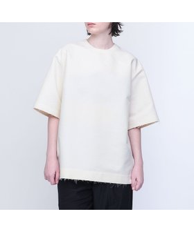 【ユナイテッドアローズ/UNITED ARROWS】 AEWEN MATOPH ダブルクロス ビッグT ブラウス人気、トレンドファッション・服の通販 founy(ファニー) ファッション Fashion レディースファッション Fashion for Women トップス・カットソー Cut & Sew Tops シャツ・ブラウス・オフィスカジュアル Elegant Blouses & Button-Ups おすすめ Recommended / Our Picks オーガンジー Organza Fabric カットオフ Cut-Off Design シンプル Simple, Minimal ダブル Double, Double-Breasted ビッグ Big, Oversized ボックス Boxy, Box Shape 半袖 Short Sleeve, Half Sleeve |ID:prp329100004629054
