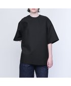 【ユナイテッドアローズ/UNITED ARROWS】のAEWEN MATOPH ダブルクロス ビッグT ブラウス 人気、トレンドファッション・服の通販 founy(ファニー) ファッション Fashion レディースファッション Fashion for Women トップス・カットソー Cut & Sew Tops シャツ・ブラウス・オフィスカジュアル Elegant Blouses & Button-Ups おすすめ Recommended / Our Picks オーガンジー Organza Fabric カットオフ Cut-Off Design シンプル Simple, Minimal ダブル Double, Double-Breasted ビッグ Big, Oversized ボックス Boxy, Box Shape 半袖 Short Sleeve, Half Sleeve thumbnail BLACK|ID: prp329100004629054 ipo3291000000033282485