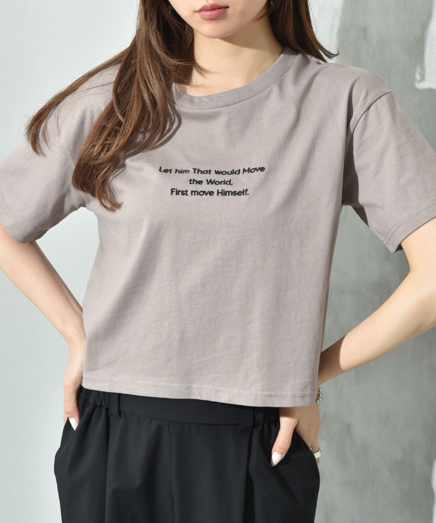 【インタープラネット/INTERPLANET】の刺繍ロゴT インテリア・キッズ・メンズ・レディースファッション・服の通販 founy(ファニー) 　ファッション　Fashion　レディースファッション　Fashion for Women　おすすめ　Recommended / Our Picks　コンパクト　Compact, Small Size　トレンド　Trend, Trending Now　ベーシック　Basic, Essential　今季　This Season, Current Season　グレージュ|ID: prp329100004631840 ipo3291000000033562399