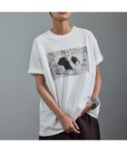【サロン アダム エ ロペ/SALON adam et rope'】の【Jim Goldberg for SALON】フォトプリントTEE 人気、トレンドファッション・服の通販 founy(ファニー) ファッション Fashion レディースファッション Fashion for Women インナー Innerwear カリフォルニア California, Cali Style 今季 This Season, Current Season ジャケット Jacket, Outerwear スラックス Slacks, Dress Pants チェック Check, Plaid, Tartan デニム Denim, Jeans Material 定番 Standard, Basic Item プリント Print, Printed Pattern ミックス Mix, Mixed Style リラックス Relax, Relaxed Fit ワイド Wide, Wide Fit おすすめ Recommended / Our Picks 日本製 Made In Japan thumbnail ホワイト系(11)|ID: prp329100004632240 ipo3291000000033503421