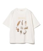 【ビームス ハート/BEAMS HEART】のネコ フォト コラージュ Tシャツ 人気、トレンドファッション・服の通販 founy(ファニー) ファッション Fashion レディースファッション Fashion for Women トップス・カットソー Cut & Sew Tops シャツ・ブラウス・オフィスカジュアル Elegant Blouses & Button-Ups ロングTシャツ・Tシャツ Longline T-Shirts & Tees キャップ Cap, Baseball Cap ショート Short, Short Length スニーカー Sneakers, Trainers デニム Denim, Jeans Material ネコ Cat, Feline Motif 猫 Cat, Kitty プリント Print, Printed Pattern ベーシック Basic, Essential リラックス Relax, Relaxed Fit thumbnail OFF TRIM|ID: prp329100004633505 ipo3291000000033716090