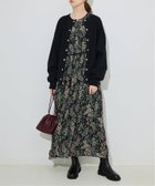 【スローブ イエナ/SLOBE IENA】の《WEB限定/追加2 》FLOWER PRINT ワンピース 人気、トレンドファッション・服の通販 founy(ファニー) ファッション Fashion レディースファッション Fashion for Women ワンピース Dresses 2025年 2025 2025-2026秋冬・A/W Autumn/Winter 2025–26 AW25–26 thumbnail ブラック|ID: prp329100004634150 ipo3291000000033363850