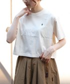 【ステップス/STEPS】のGYMPHLEX/Gymphlex/CREW NECK PULLOVER 人気、トレンドファッション・服の通販 founy(ファニー) ファッション Fashion レディースファッション Fashion for Women トップス・カットソー Cut & Sew Tops カジュアルプルオーバー・ニットトップス Pullovers & Knit Tops / Casual Pullovers ショート Short, Short Length シンプル Simple, Minimal スリーブ Sleeve, Long Sleeve / Short Sleeve thumbnail ECRU|ID: prp329100004634442 ipo3291000000033613384
