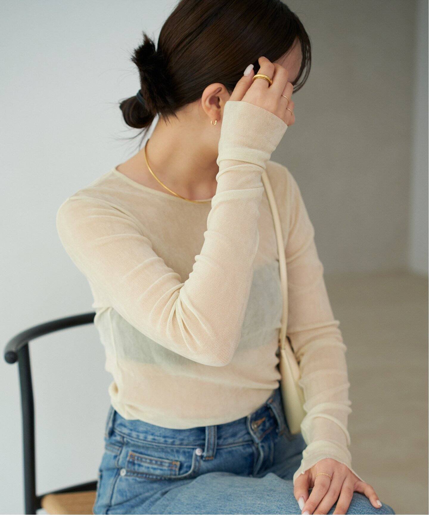 【プラージュ/Plage】の《追加》Flocky Mesh ロンT インテリア・キッズ・メンズ・レディースファッション・服の通販 founy(ファニー) 　ファッション　Fashion　レディースファッション　Fashion for Women　トップス・カットソー　Cut & Sew Tops　ロングTシャツ・Tシャツ　Longline T-Shirts & Tees　コンパクト　Compact, Small Size　シアー　Sheer, See-Through　ジャケット　Jacket, Outerwear　トレンド　Trend, Trending Now　メッシュ　Mesh, Net Fabric　ロング　Long, Long-Length　エレガント 上品　Elegant　A/W・秋冬　Autumn/Winter　ベージュ A|ID: prp329100004637296 ipo3291000000033416457