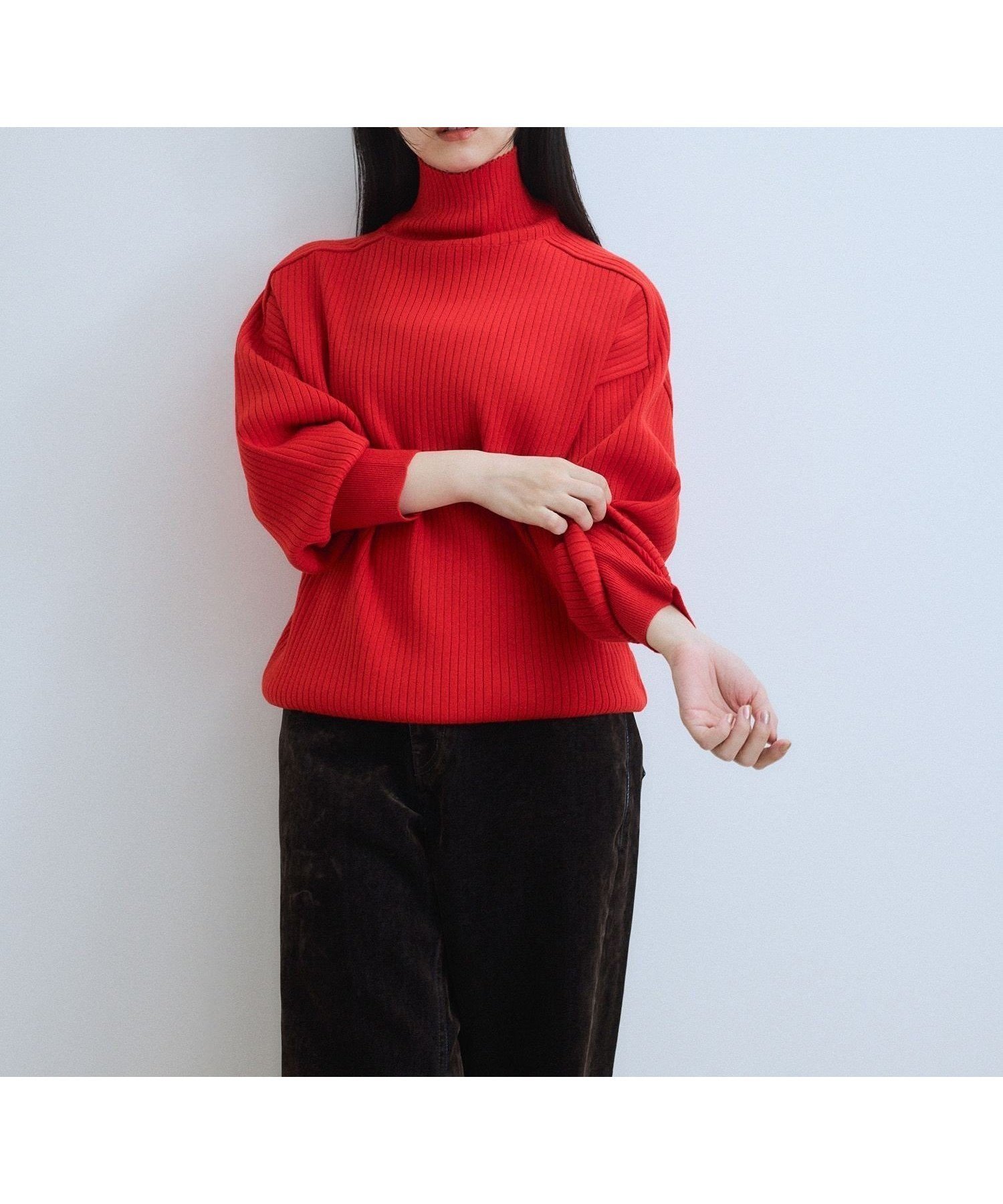 【アダム エ ロペ/ADAM ET ROPE'】の【WEB限定】・【定番人気】WOOL混リブタートルニット インテリア・キッズ・メンズ・レディースファッション・服の通販 founy(ファニー) 　ファッション　Fashion　レディースファッション　Fashion for Women　トップス・カットソー　Cut & Sew Tops　ニット　Knit Tops & Sweaters　ウォッシャブル　Machine Washable　今季　This Season, Current Season　ショート　Short, Short Length　タートルネック　Turtleneck, High Neck　デニム　Denim, Jeans Material　定番　Standard, Basic Item　人気　Popular, Best Seller　ボトム　Bottoms, Lower Wear　ミニスカート　Mini Skirt, Short Skirt　ロング　Long, Long-Length　ワイド　Wide, Wide Fit　ワイドリブ　Wide Rib, Wide Ribbed Knit　A/W・秋冬　Autumn/Winter　おすすめ　Recommended / Our Picks　2026年　2026　レッド(60)|ID: prp329100004639928 ipo3291000000034450881