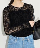 【スローブ イエナ/SLOBE IENA】のレースフロッキープルオーバー 人気、トレンドファッション・服の通販 founy(ファニー) ファッション Fashion レディースファッション Fashion for Women トップス・カットソー Cut & Sew Tops カジュアルプルオーバー・ニットトップス Pullovers & Knit Tops / Casual Pullovers 2025年 2025 2025-2026秋冬・A/W Autumn/Winter 2025–26 AW25–26 カットソー Cut and Sewn Top コンパクト Compact, Small Size スウェット / スエット Sweatshirt, Sweatwear レース Lace, Lace Fabric エレガント 上品 Elegant 夏 Summer thumbnail ブラック|ID: prp329100004641922 ipo3291000000033478449