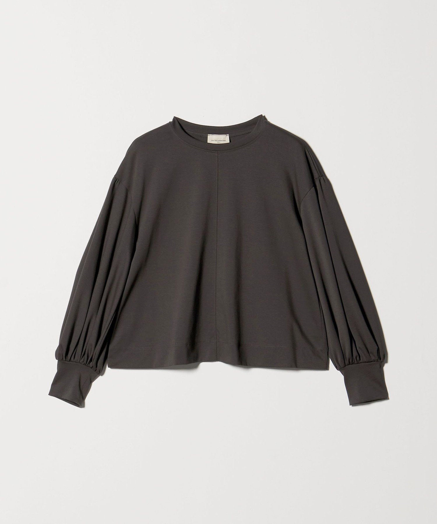 【ユナイテッドアローズ/UNITED ARROWS】のポンチ バルーンスリーブ カットソー -ウォッシャブル- インテリア・キッズ・メンズ・レディースファッション・服の通販 founy(ファニー) 　ファッション　Fashion　レディースファッション　Fashion for Women　トップス・カットソー　Cut & Sew Tops　カットソー・ベーシックTシャツ　Cut-and-Sewn Tops / Stretch Tees & Basics　おすすめ　Recommended / Our Picks　インナー　Innerwear　ウォッシャブル　Machine Washable　カットソー　Cut and Sewn Top　コンパクト　Compact, Small Size　ショート　Short, Short Length　スリーブ　Sleeve, Long Sleeve / Short Sleeve　センター　Center, Center Line　タイトスカート　Pencil Skirt, Tight Skirt　バランス　Balance, Style Balance　バルーン　Balloon, Balloon Silhouette　フロント　Front, Front Design　ベスト　Vest, Waistcoat　ワイド　Wide, Wide Fit　DK.GRAY|ID: prp329100004646370 ipo3291000000033536091