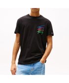 【トミーヒルフィガー/TOMMY HILFIGER】のレギュラーツイステッドシグネチャーTシャツ 人気、トレンドファッション・服の通販 founy(ファニー) ファッション Fashion レディースファッション Fashion for Women トップス・カットソー Cut & Sew Tops シャツ・ブラウス・オフィスカジュアル Elegant Blouses & Button-Ups ロングTシャツ・Tシャツ Longline T-Shirts & Tees アメリカン American Style インナー Innerwear カラフル Colorful Design クラシック Classic, Timeless Style ゴルフ Golf シンプル Simple, Minimal デニム Denim, Jeans Material パーカー Hoodie, Parka プリント Print, Printed Pattern ベーシック Basic, Essential モダン Modern, Contemporary レギュラー Regular, Standard Fit 人気 Popular, Best Seller 半袖 Short Sleeve, Half Sleeve thumbnail ブラックBDS|ID: prp329100004646426 ipo3291000000033536665
