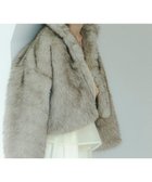 【カロリナ グレイサー/CAROLINA GLASER】のMai / ファーコート 人気、トレンドファッション・服の通販 founy(ファニー) ファッション Fashion レディースファッション Fashion for Women アウター Coat / Outerwear Collection コート・ロングコート・ピーコート Long Coats, Peacoats & More なめらか Smooth, Silky Texture エレガント 上品 Elegant ショート Short, Short Length スタンド Stand Collar, Upright Stand スペシャル Special, Limited Edition バランス Balance, Style Balance ポケット Pocket, Pocket Detail thumbnail GREY|ID: prp329100004651644 ipo3291000000033611487
