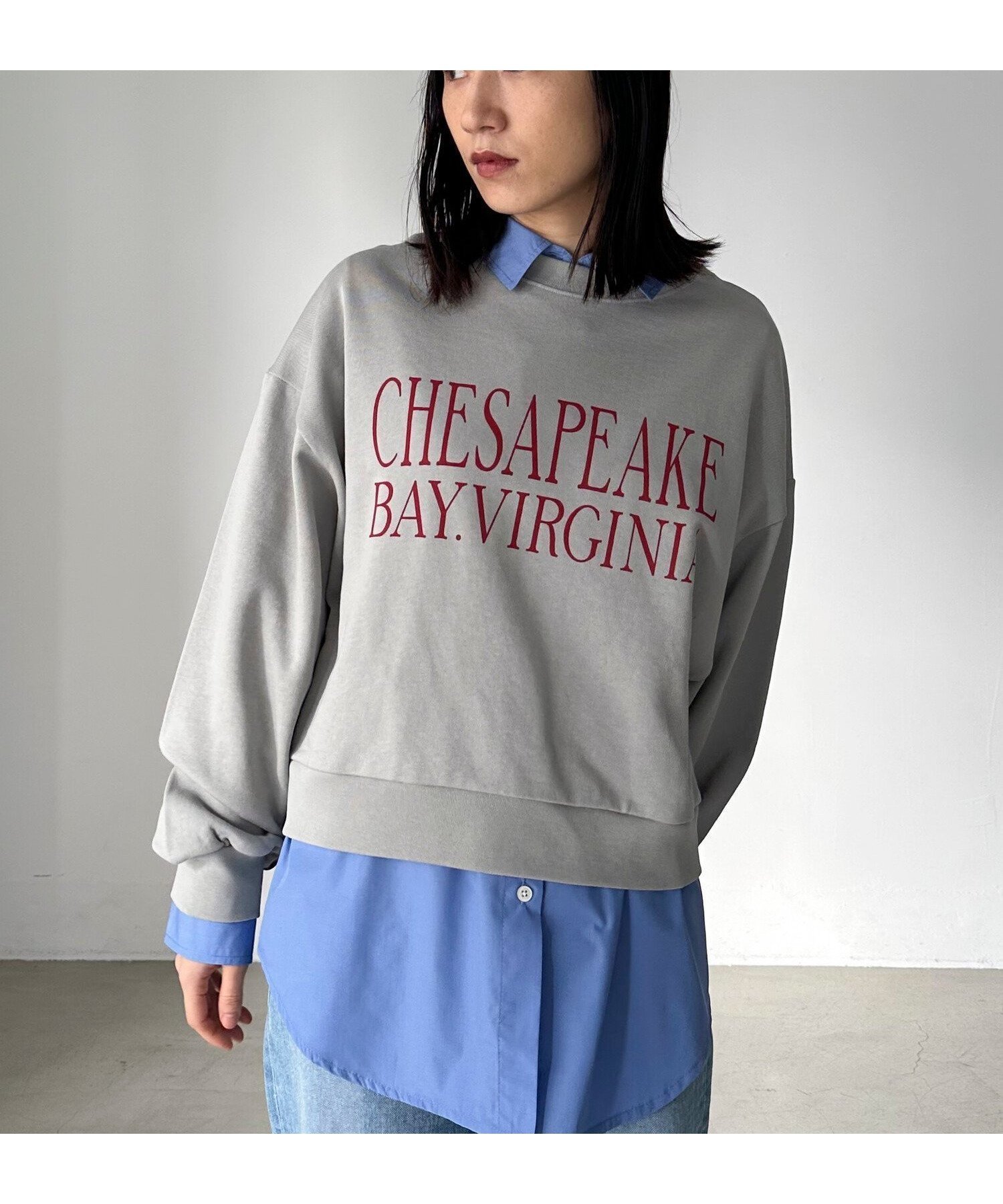 【ドゥ アルシーヴ/Doux archives】のVIRGINIAロゴウォッシュスウェット インテリア・キッズ・メンズ・レディースファッション・服の通販 founy(ファニー) 　ファッション　Fashion　レディースファッション　Fashion for Women　トップス・カットソー　Cut & Sew Tops　レディースパーカー・カジュアルフーディー　Casual Hoodies & Sweatshirts　スウェット・クルーネックトップス　Sweatshirts & Crewnecks / Relaxed Fit Sweat Tops　ショルダー　Shoulder, Shoulder Strap　ショート　Short, Short Length　スウェット / スエット　Sweatshirt, Sweatwear　ドロップ　Drop Shoulder, Dropped Style　バランス　Balance, Style Balance　ヴィンテージ　Vintage Style　GRAY|ID: prp329100004659369 ipo3291000000033721340
