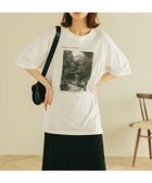 【スタディオ クリップ/studio CLIP】のアソートフォトスケッチTシャツ 人気、トレンドファッション・服の通販 founy(ファニー) ファッション Fashion レディースファッション Fashion for Women トップス・カットソー Cut & Sew Tops シャツ・ブラウス・オフィスカジュアル Elegant Blouses & Button-Ups ロングTシャツ・Tシャツ Longline T-Shirts & Tees おすすめ Recommended / Our Picks イラスト Illustration デニム Denim, Jeans Material トレンド Trend, Trending Now モチーフ Motif, Design Theme 夏 Summer 定番 Standard, Basic Item thumbnail park04|ID: prp329100004665816 ipo3291000000033748188
