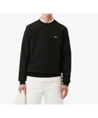 【ラコステ/LACOSTE / MEN】のエッセンシャルクルーネックスウェット ブラック|ID: prp329100004678206 ipo3291000000033797569