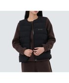【スノーピーク/SNOW PEAK】のLand Wmn s Lightweight Down Vest 人気、トレンドファッション・服の通販 founy(ファニー) ファッション Fashion レディースファッション Fashion for Women アウター Coat / Outerwear Collection トップス・カットソー Cut & Sew Tops ベスト&ジレ / 重ね着スタイル Vests & Gilets アウトドア Outdoor Clothing インナー Innerwear コレクション Collection, Seasonal Line 抗菌 Antibacterial, Bacteria-Resistant 軽量 Lightweight, Ultra Light スマート Smart, Elegant ダウン Down, Puffer 定番 Standard, Basic Item ベスト Vest, Waistcoat A/W・秋冬 Autumn/Winter 冬 Winter / This Winter おすすめ Recommended / Our Picks 2025年 2025 2025-2026秋冬・A/W Autumn/Winter 2025–26 AW25–26 thumbnail BLACK|ID: prp329100004685008 ipo3291000000034224659