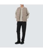 【スノーピーク/SNOW PEAK】のLand Wmn s Lightweight Down Vest 人気、トレンドファッション・服の通販 founy(ファニー) ファッション Fashion レディースファッション Fashion for Women アウター Coat / Outerwear Collection トップス・カットソー Cut & Sew Tops ベスト&ジレ / 重ね着スタイル Vests & Gilets アウトドア Outdoor Clothing インナー Innerwear コレクション Collection, Seasonal Line 抗菌 Antibacterial, Bacteria-Resistant 軽量 Lightweight, Ultra Light スマート Smart, Elegant ダウン Down, Puffer 定番 Standard, Basic Item ベスト Vest, Waistcoat A/W・秋冬 Autumn/Winter 冬 Winter / This Winter おすすめ Recommended / Our Picks 2025年 2025 2025-2026秋冬・A/W Autumn/Winter 2025–26 AW25–26 thumbnail TAN GREY|ID: prp329100004685008 ipo3291000000034224661