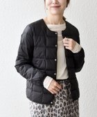 【シップス フォー ウィメン/SHIPS】のTAION 手洗い可能 インナー ショート ダウン ジャケット 25AW 人気、トレンドファッション・服の通販 founy(ファニー) ファッション Fashion レディースファッション Fashion for Women アウター Coat / Outerwear Collection レディースジャケット・軽アウター Jackets インナー Innerwear コンパクト Compact, Small Size ショート Short, Short Length シンプル Simple, Minimal ジャケット Jacket, Outerwear スポーツ Sports, Activewear ダウン Down, Puffer 人気 Popular, Best Seller ポケット Pocket, Pocket Detail 別注 Limited Edition, Custom Order 2025年 2025 2025-2026秋冬・A/W Autumn/Winter 2025–26 AW25–26 thumbnail ブラック|ID: prp329100004692544 ipo3291000000033883922