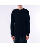 【ラコステ/LACOSTE / MEN】のローゲージ バスケット編み ニットクルーネックセーター 人気、トレンドファッション・服の通販 founy(ファニー) ファッション Fashion メンズファッション Fashion for Men ストライプ Stripe, Striped Pattern セーター Sweater, Knitwear バスケット Basket, Basket Bag thumbnail ブラック|ID: prp329100004693437 ipo3291000000033889001