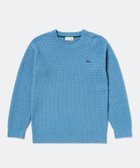 【ラコステ/LACOSTE / MEN】のローゲージ バスケット編み ニットクルーネックセーター 人気、トレンドファッション・服の通販 founy(ファニー) ファッション Fashion メンズファッション Fashion for Men ストライプ Stripe, Striped Pattern セーター Sweater, Knitwear バスケット Basket, Basket Bag thumbnail グレイッシュブルー|ID: prp329100004693437 ipo3291000000033889008