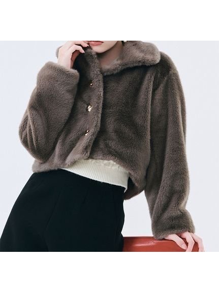 【リリーブラウン/Lily Brown】のバリエファーショートコート インテリア・キッズ・メンズ・レディースファッション・服の通販 founy(ファニー) 　ファッション　Fashion　レディースファッション　Fashion for Women　アウター　Coat / Outerwear Collection　コート・ロングコート・ピーコート　Long Coats, Peacoats & More　スマート　Smart, Elegant　フロント　Front, Front Design　今季　This Season, Current Season　冬　Winter / This Winter　防寒　Cold Protection, Winter-Ready　MOC[056]|ID: prp329100004694394 ipo3291000000034073973