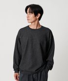 【ビューティ&ユース ユナイテッドアローズ/BEAUTY&YOUTH / UNITED ARROWS / MEN】のプレーティング フェード クルーネック ニット 抗菌・防臭機能付き 人気、トレンドファッション・服の通販 founy(ファニー) ファッション Fashion メンズファッション Fashion for Men 秋 Autumn 抗菌 Antibacterial, Bacteria-Resistant シンプル Simple, Minimal スラックス Slacks, Dress Pants フィット Fit, Slim Fit リラックス Relax, Relaxed Fit エレガント 上品 Elegant thumbnail BLACK|ID: prp329100004704267 ipo3291000000034180166