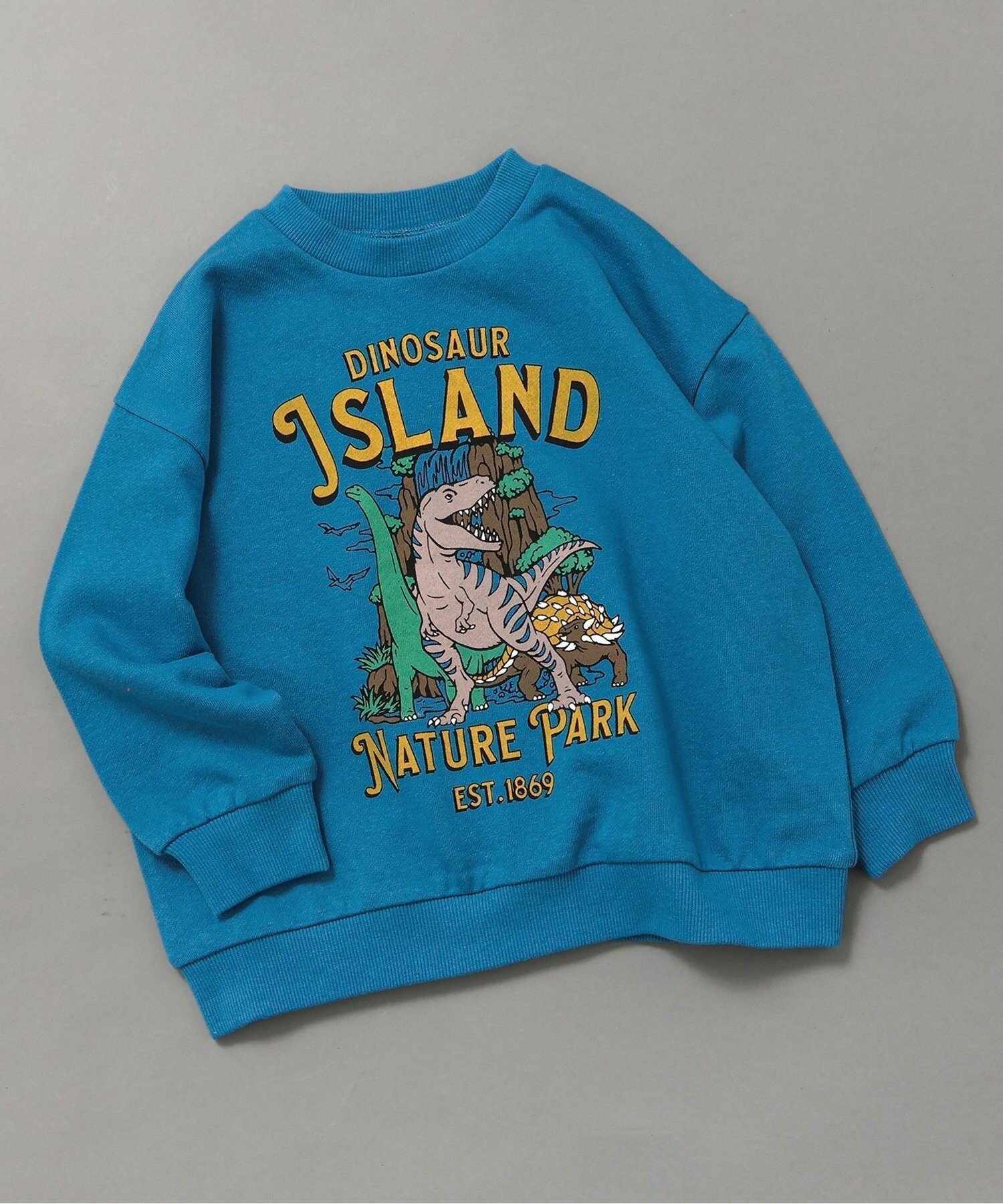 【エフオー オンラインストア/F.O.Online Store / KIDS】のWEB限定 カラバリ グラフィックトレーナー インテリア・キッズ・メンズ・レディースファッション・服の通販 founy(ファニー) 　ファッション　Fashion　キッズファッション　Fashion for Kids　2025年　2025　2025-2026秋冬・A/W　Autumn/Winter 2025–26 AW25–26　グラフィック　Graphic, Graphic Design　トレーナー　Sweatshirt, Trainer　人気　Popular, Best Seller　ブルー|ID: prp329100004707641 ipo3291000000034001679