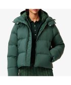 【ラコステ/LACOSTE】のウィメンズ ボリュームハイネック ナイロンショートダウンジャケット / フード取り外し可 人気、トレンドファッション・服の通販 founy(ファニー) ファッション Fashion レディースファッション Fashion for Women アウター Coat / Outerwear Collection レディースジャケット・軽アウター Jackets ショート Short, Short Length ジャケット Jacket, Outerwear タフタ Taffeta, Structured Fabric ダウン Down, Puffer ハイネック High Neck, Mock Neck フェミニン Feminine, Girly thumbnail モスグリーン|ID: prp329100004710070 ipo3291000000034180750
