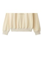 【リリーブラウン/Lily Brown】のカレッジロゴスウェット 人気、トレンドファッション・服の通販 founy(ファニー) ファッション Fashion レディースファッション Fashion for Women トップス・カットソー Cut & Sew Tops レディースパーカー・カジュアルフーディー Casual Hoodies & Sweatshirts スウェット・クルーネックトップス Sweatshirts & Crewnecks / Relaxed Fit Sweat Tops クラシカル Classical, Vintage-Inspired スマート Smart, Elegant フェミニン Feminine, Girly プリーツ Pleats, Pleated マーメイド Mermaid, Fishtail Silhouette ロング Long, Long-Length |ID:prp329100004715097