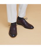 【アルフレッド バニスター/alfredoBANNISTER / MEN】の【人気No1!WEB別注】内羽根 ストレートチップ ビジネスシューズ / ドレスシ 人気、トレンドファッション・服の通販 founy(ファニー) ファッション Fashion メンズファッション Fashion for Men シューズ・靴 Shoes シューズ Shoes, Footwear ストレート Straight, Straight Cut ドレス Dress, One-Piece ビジネス 仕事 通勤 Business / Work / Commuting 人気 Popular, Best Seller 別注 Limited Edition, Custom Order thumbnail ワイン|ID: prp329100004716316 ipo3291000000034076505