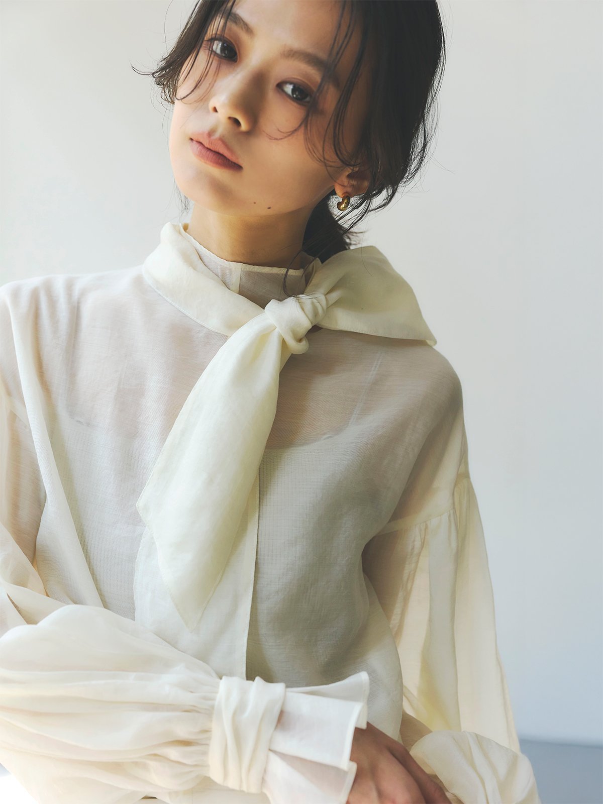 【アニュアンス/anuans】のハイネックシアーボウタイブラウス 人気、トレンドファッション・服の通販 founy(ファニー) 　ファッション　Fashion　レディースファッション　Fashion for Women　トップス・カットソー　Cut & Sew Tops　シャツ・ブラウス・オフィスカジュアル　Elegant Blouses & Button-Ups　オーガンジー　Organza Fabric　カフス　Cuff Design　シアー　Sheer, See-Through　シンプル　Simple, Minimal　ハイネック　High Neck, Mock Neck　フリル　Frill, Ruffle　ボトム　Bottoms, Lower Wear　 other-1|ID: prp329100004716349 ipo3291000000034076717