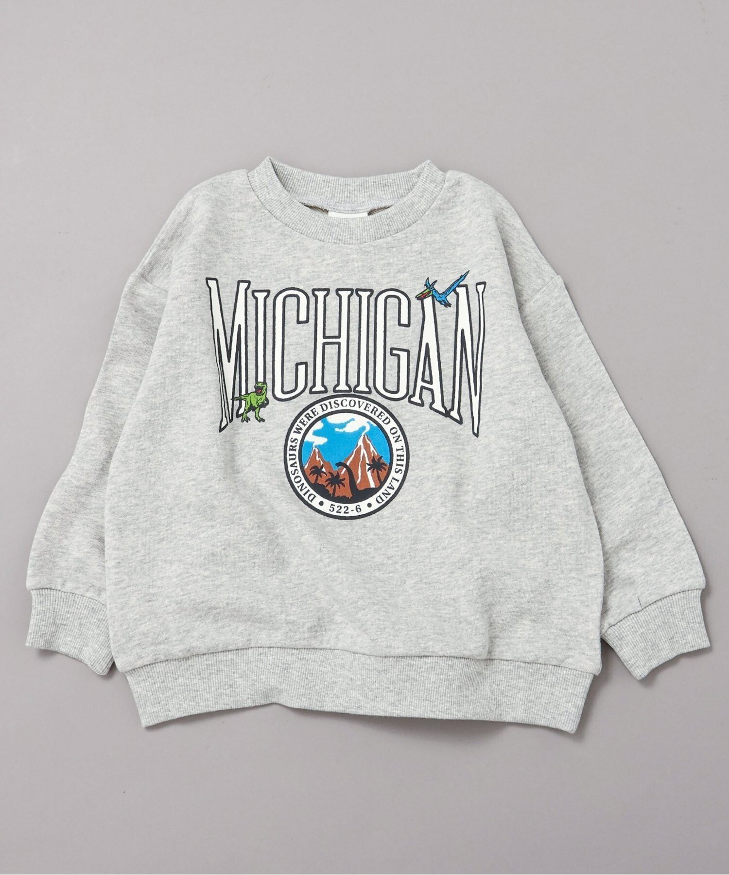 【エフオー オンラインストア/F.O.Online Store / KIDS】のWEB限定 カレッジバリエーショントレーナー インテリア・キッズ・メンズ・レディースファッション・服の通販 founy(ファニー) 　ファッション　Fashion　キッズファッション　Fashion for Kids　2025年　2025　2025-2026秋冬・A/W　Autumn/Winter 2025–26 AW25–26　トレーナー　Sweatshirt, Trainer　人気　Popular, Best Seller　グレー|ID: prp329100004721249 ipo3291000000034119757
