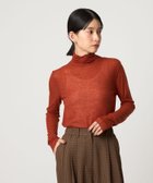 【シテン/CITEN】のCITEN エッセンシャルシアーハイネックトップ 人気、トレンドファッション・服の通販 founy(ファニー) ファッション Fashion レディースファッション Fashion for Women インナー Innerwear シアー Sheer, See-Through ジャケット Jacket, Outerwear ハイネック High Neck, Mock Neck バランス Balance, Style Balance フィット Fit, Slim Fit ベスト Vest, Waistcoat エレガント 上品 Elegant thumbnail RED|ID: prp329100004728039 ipo3291000000034879525