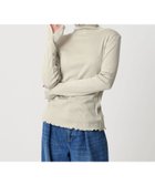 【ビューティ&ユース ユナイテッドアローズ/BEAUTY&YOUTH / UNITED ARROWS】のポリエステルコットンテレコ メロータートルネック カットソー NATURAL|ID: prp329100004728180 ipo3291000000034847240