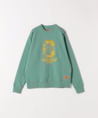 【シップス フォー ウィメン/SHIPS】のUNIVERSAL OVERALL 洗濯機可能 プリント スウェット 人気、トレンドファッション・服の通販 founy(ファニー) ファッション Fashion レディースファッション Fashion for Women トップス・カットソー Cut & Sew Tops レディースパーカー・カジュアルフーディー Casual Hoodies & Sweatshirts スウェット・クルーネックトップス Sweatshirts & Crewnecks / Relaxed Fit Sweat Tops 2025年 2025 2025-2026秋冬・A/W Autumn/Winter 2025–26 AW25–26 おすすめ Recommended / Our Picks グラフィック Graphic, Graphic Design スウェット / スエット Sweatshirt, Sweatwear スラックス Slacks, Dress Pants デニム Denim, Jeans Material フロント Front, Front Design プリント Print, Printed Pattern ミックス Mix, Mixed Style thumbnail ライトグリーン|ID: prp329100004731473 ipo3291000000034175185