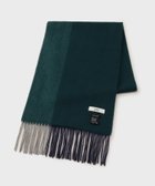 【タケオキクチ/TAKEO KIKUCHI / MEN】の【カシミヤ100%】パネル カシミヤマフラー グリーン|ID: prp329100004733091 ipo3291000000034671292