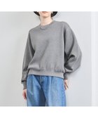 【ユナイテッドアローズ/UNITED ARROWS】のラメ クルーネック スウェット ニット MD.GRAY|ID: prp329100004733910 ipo3291000000034419234