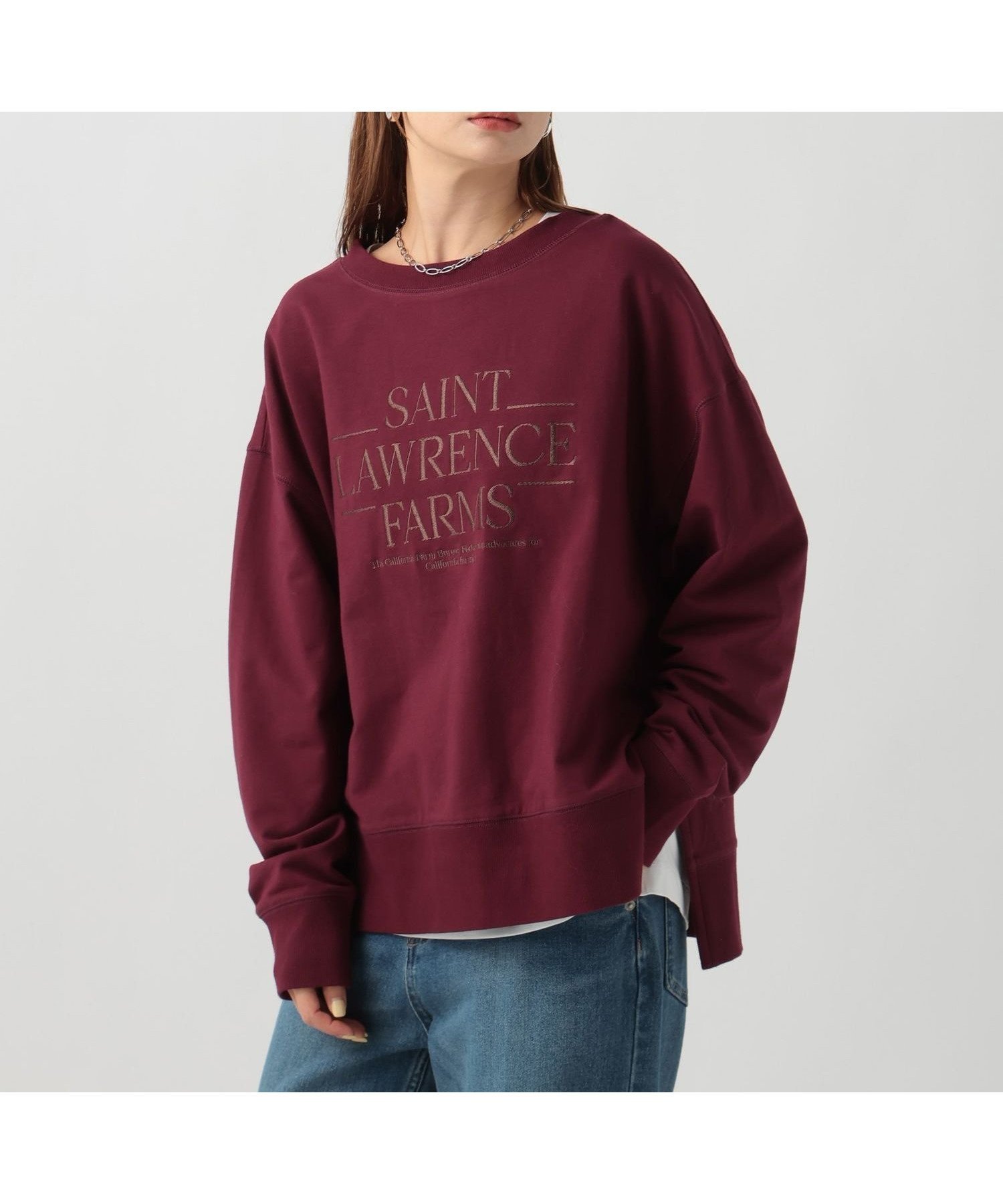 【ベイフロー/BAYFLOW】のアソートロゴプルオーバー インテリア・キッズ・メンズ・レディースファッション・服の通販 founy(ファニー) 　ファッション　Fashion　レディースファッション　Fashion for Women　トップス・カットソー　Cut & Sew Tops　カジュアルプルオーバー・ニットトップス　Pullovers & Knit Tops / Casual Pullovers　おすすめ　Recommended / Our Picks　スリット　Slit, Slit Detail　フラット　Flat, Flat Shoes　フロント　Front, Front Design　ボルドー38|ID: prp329100004734654 ipo3291000000034436603