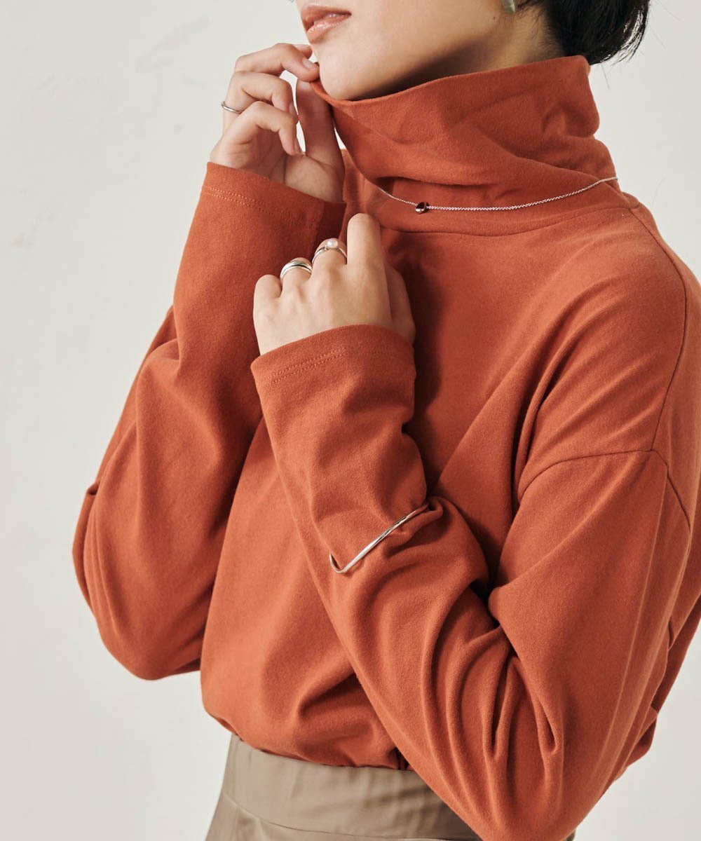 【ラナン/Ranan】のBC 吸湿発熱!シンプルタートルネック インテリア・キッズ・メンズ・レディースファッション・服の通販 founy(ファニー) 　ファッション　Fashion　レディースファッション　Fashion for Women　トップス・カットソー　Cut & Sew Tops　タートルネック・ハイネックトップス　Turtlenecks & High-Neck Tops　インナー　Innerwear　春　Spring　カットソー　Cut and Sewn Top　シンプル　Simple, Minimal　タートルネック　Turtleneck, High Neck　人気　Popular, Best Seller　ボトム　Bottoms, Lower Wear　冬　Winter / This Winter　2023年　2023　2023-2024秋冬・A/W　Autumn/Winter 2023–24 AW23–24　エレガント 上品　Elegant　テラコッタ|ID: prp329100004738361 ipo3291000000034226127