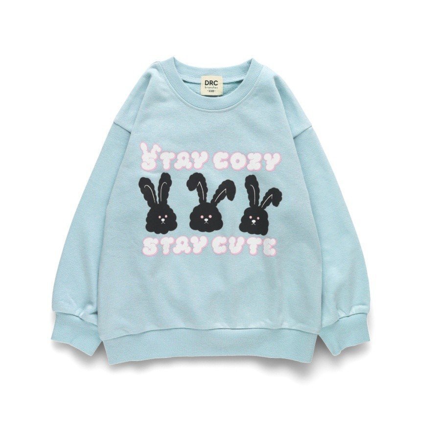 【ブランシェス/branshes / KIDS】の【WEB限定/DRC】アソートガールズグラフィック裏毛トレーナー インテリア・キッズ・メンズ・レディースファッション・服の通販 founy(ファニー) 　ファッション　Fashion　キッズファッション　Fashion for Kids　おすすめ　Recommended / Our Picks　トレーナー　Sweatshirt, Trainer　プチプライス・低価格　Affordable / Budget Price　ボーイズ　Boyish, Boy Style　A/W・秋冬　Autumn/Winter　20_サックス|ID: prp329100004740830 ipo3291000000034293603