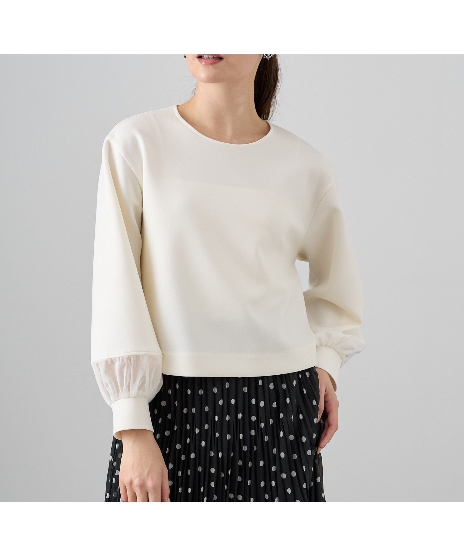 【アナイ/ANAYI】のダブルジャージー袖シアープルオーバー インテリア・キッズ・メンズ・レディースファッション・服の通販 founy(ファニー) 　ファッション　Fashion　レディースファッション　Fashion for Women　トップス・カットソー　Cut & Sew Tops　カジュアルプルオーバー・ニットトップス　Pullovers & Knit Tops / Casual Pullovers　オーガンジー　Organza Fabric　春　Spring　秋　Autumn　カフス　Cuff Design　シンプル　Simple, Minimal　スマート　Smart, Elegant　ダブル　Double, Double-Breasted　ロング　Long, Long-Length　冬　Winter / This Winter　S/S・春夏　SS, Spring/Summer, Warm Season　再入荷　Restock / Back in Stock　夏　Summer　white|ID: prp329100004741296 ipo3291000000034258389